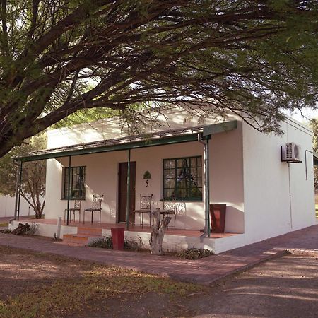 Вілла Olive Grove Guest Farm Б’юфорт-Вест Екстер'єр фото
