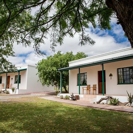 Вілла Olive Grove Guest Farm Б’юфорт-Вест Екстер'єр фото
