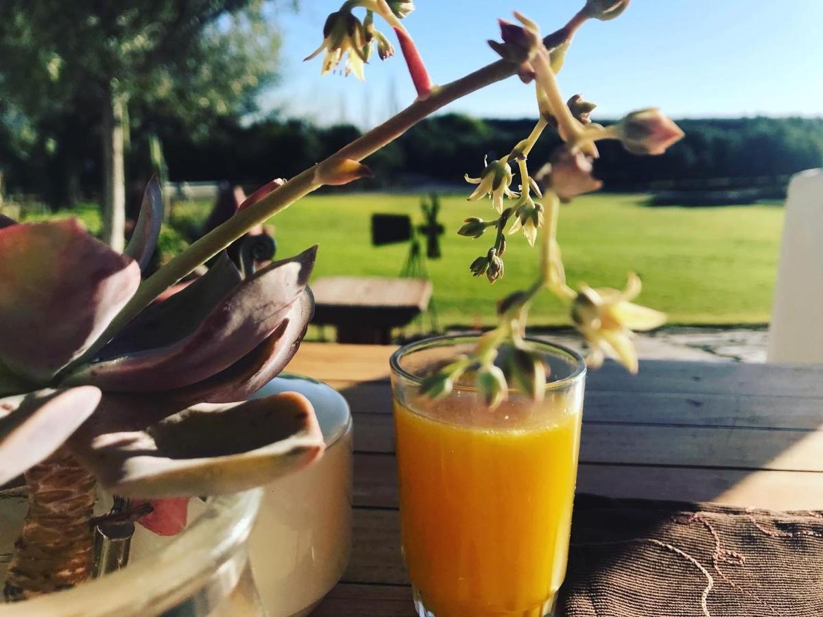 Вілла Olive Grove Guest Farm Б’юфорт-Вест Екстер'єр фото