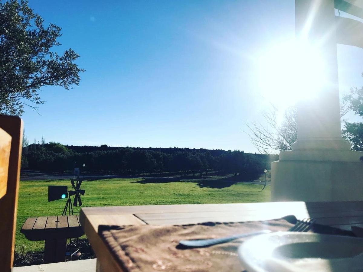 Вілла Olive Grove Guest Farm Б’юфорт-Вест Екстер'єр фото