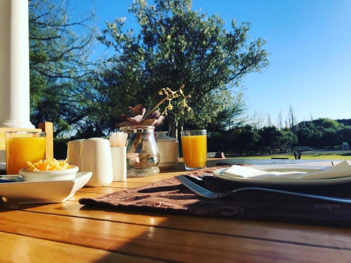 Вілла Olive Grove Guest Farm Б’юфорт-Вест Екстер'єр фото