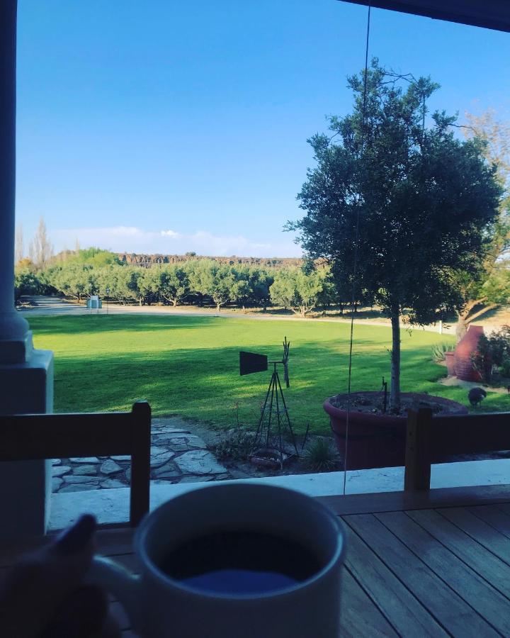 Вілла Olive Grove Guest Farm Б’юфорт-Вест Екстер'єр фото