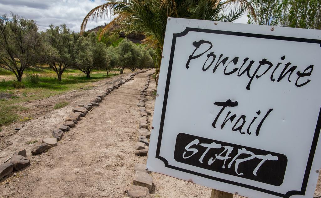 Вілла Olive Grove Guest Farm Б’юфорт-Вест Екстер'єр фото