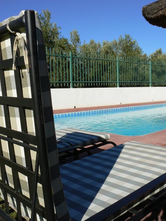 Вілла Olive Grove Guest Farm Б’юфорт-Вест Екстер'єр фото