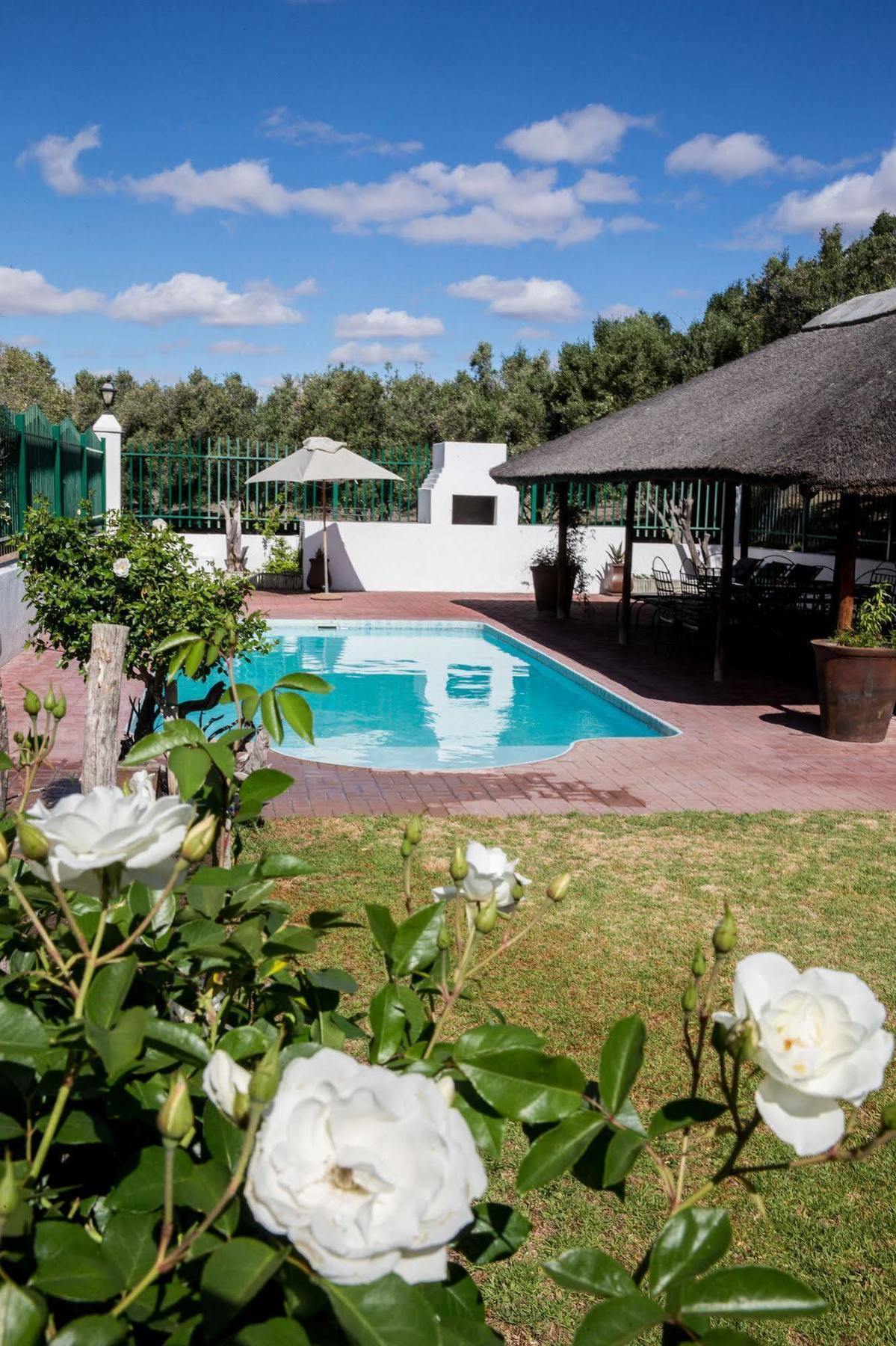 Вілла Olive Grove Guest Farm Б’юфорт-Вест Екстер'єр фото