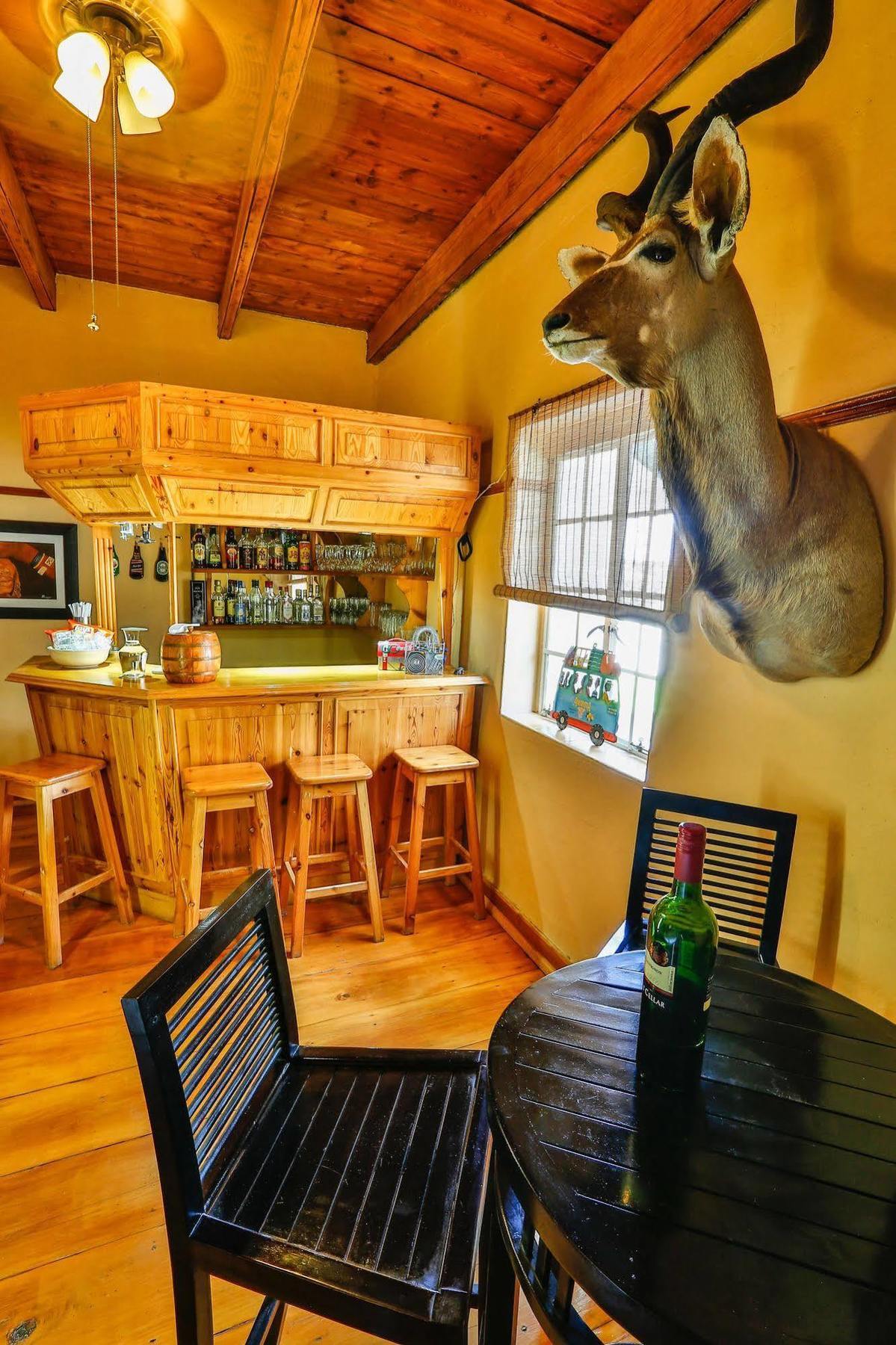 Вілла Olive Grove Guest Farm Б’юфорт-Вест Екстер'єр фото
