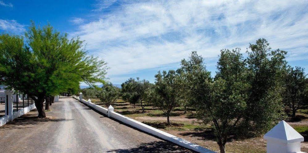 Вілла Olive Grove Guest Farm Б’юфорт-Вест Екстер'єр фото